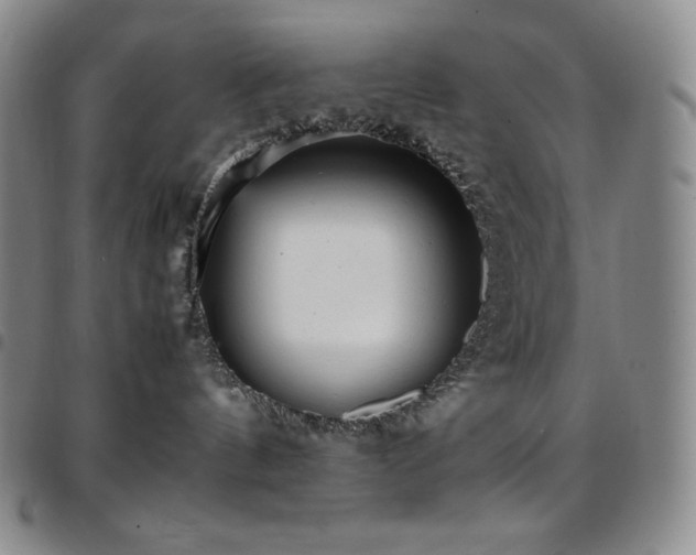 X0000097860144200803141246