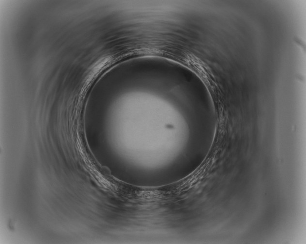 X0000097860145200803141246