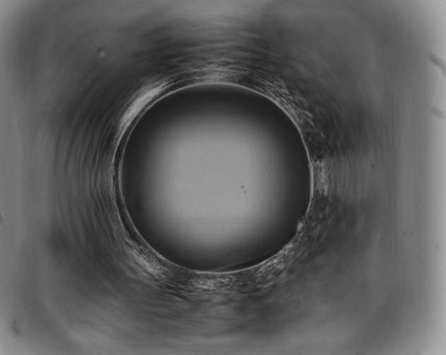 X0000097860147200803141246