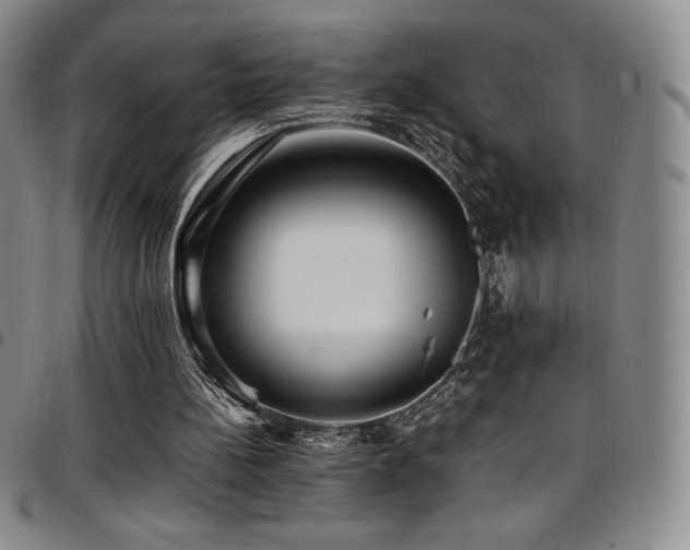 X0000097860148200803141246