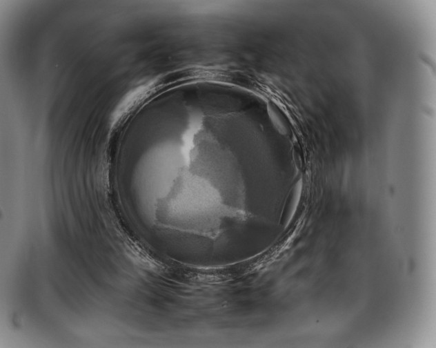 X0000097860149200803141246