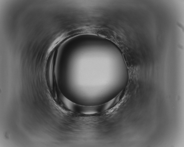 X0000097860150200803141246