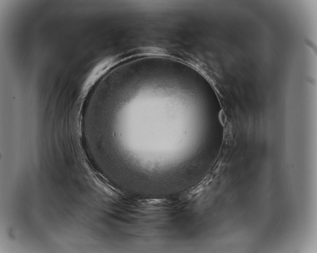 X0000097860151200803141246