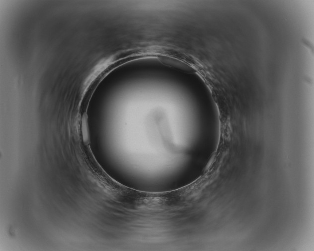 X0000097860152200803141246