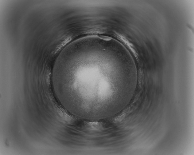 X0000097860153200803141246