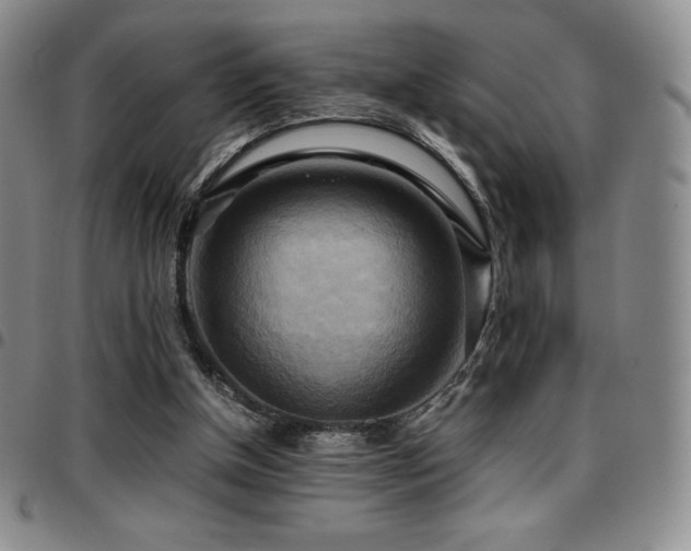 X0000097860154200803141246