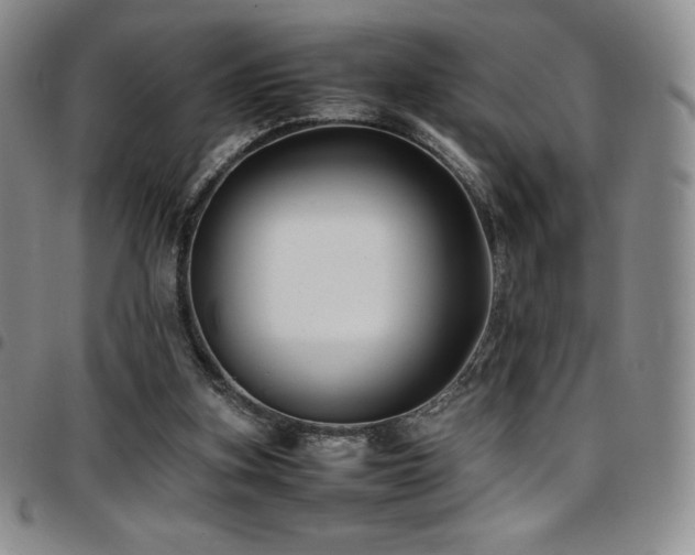 X0000097860155200803141246