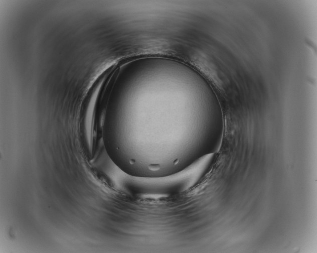 X0000097860156200803141246