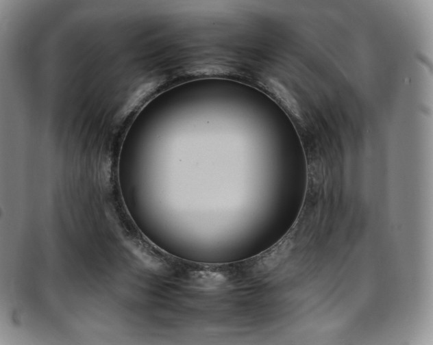 X0000097860159200803141246