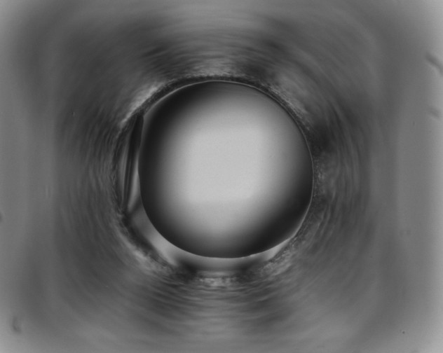 X0000097860160200803141246