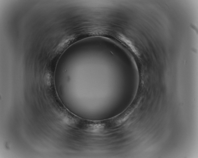 X0000097860161200803141246