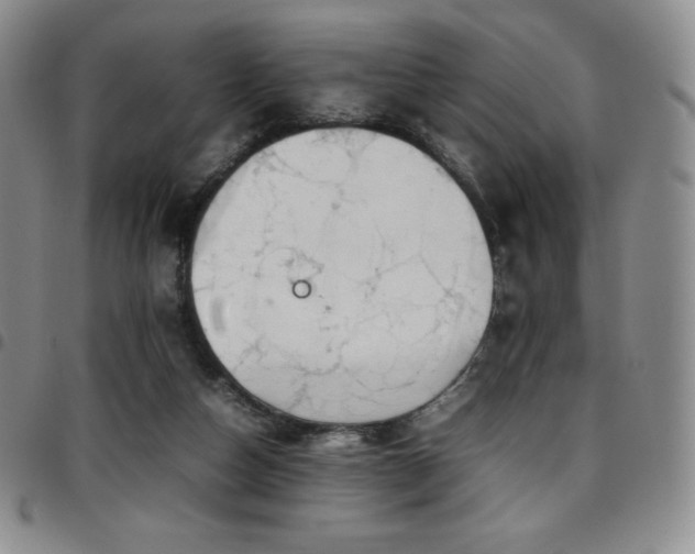 X0000097860162200803141246