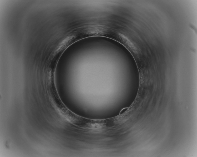 X0000097860163200803141246