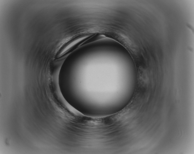 X0000097860164200803141246