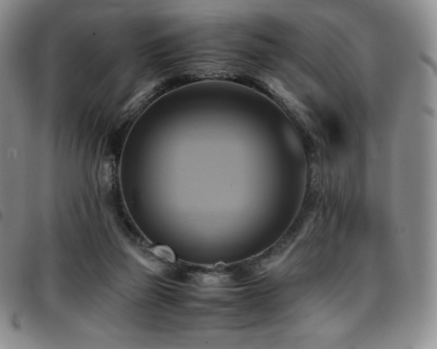 X0000097860165200803141246