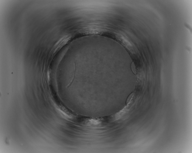 X0000097860166200803141246