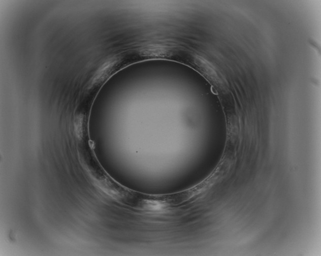 X0000097860167200803141246