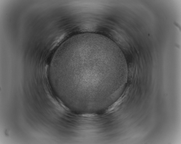 X0000097860168200803141246