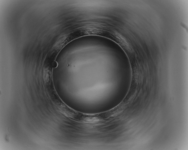 X0000097860169200803141246