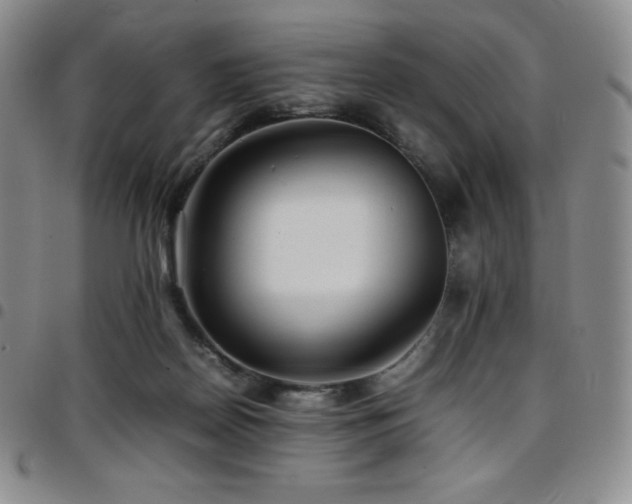 X0000097860170200803141246