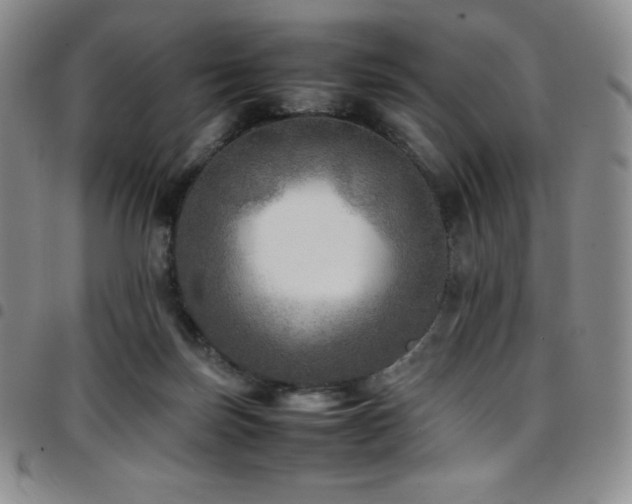 X0000097860171200803141246