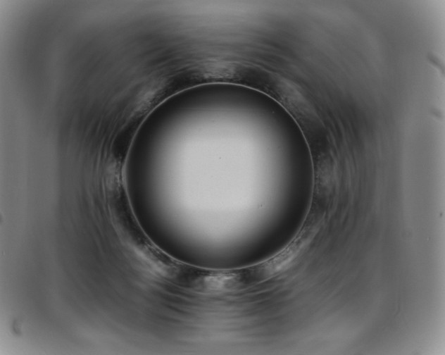 X0000097860172200803141246