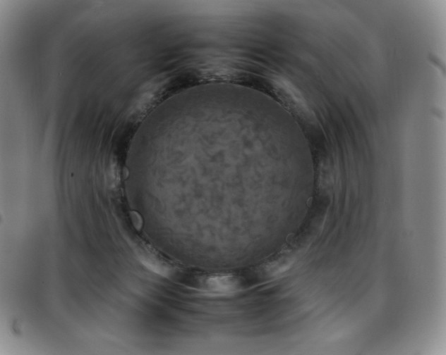 X0000097860173200803141246