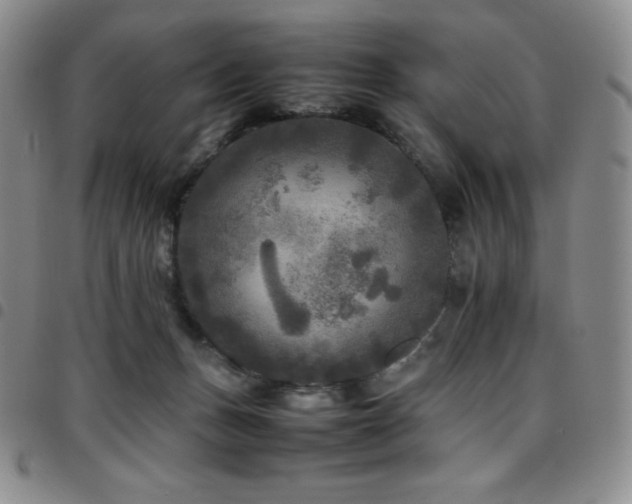 X0000097860175200803141246