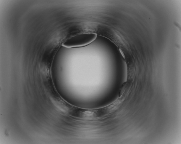 X0000097860176200803141246