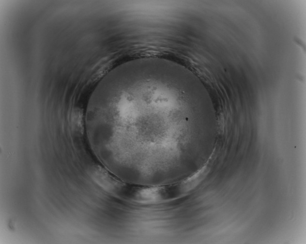 X0000097860178200803141246