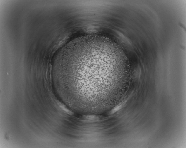 X0000097860180200803141246