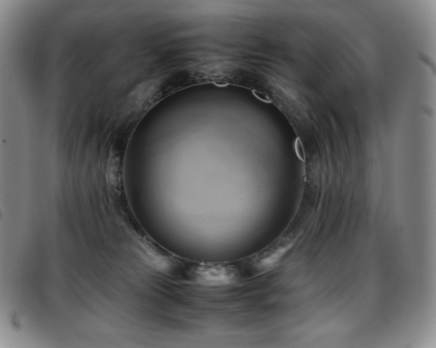 X0000097860181200803141246