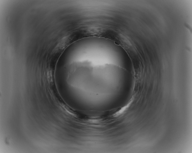 X0000097860182200803141246