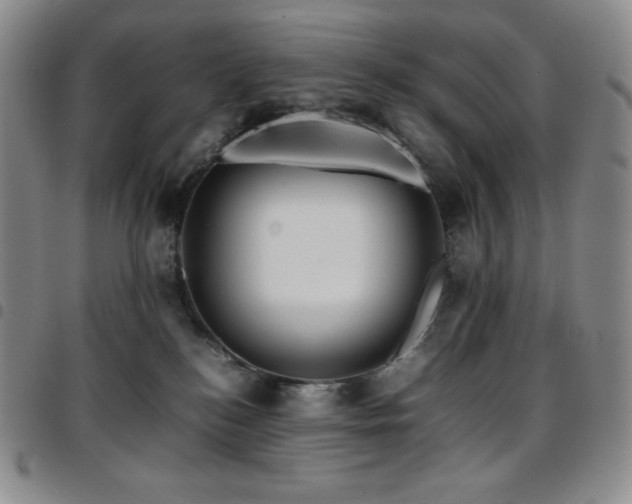 X0000097860184200803141246