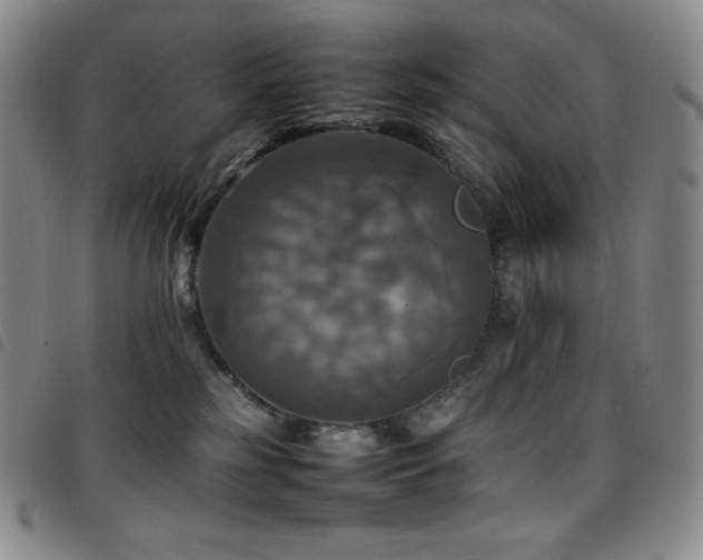 X0000097860185200803141246