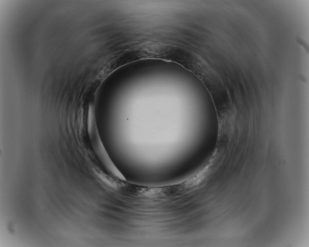 X0000097860186200803141246