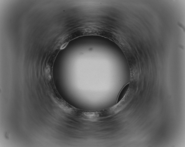 X0000097860187200803141246