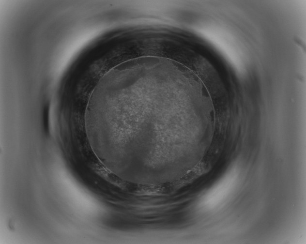 X0000097860189200803141246