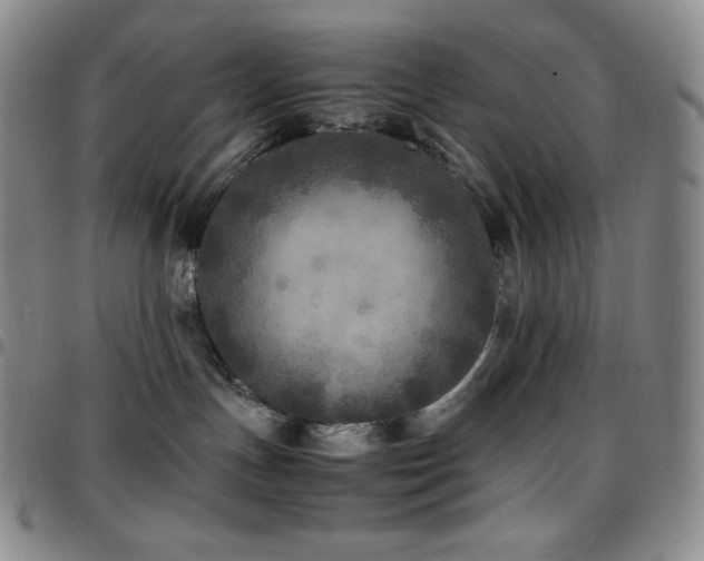 X0000097860191200803141246