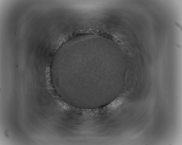 X0000097860192200803141246