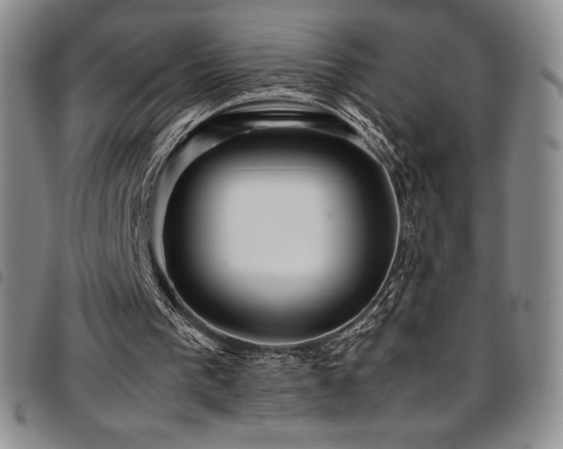 X0000097860193200803141246