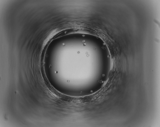 X0000097860195200803141246