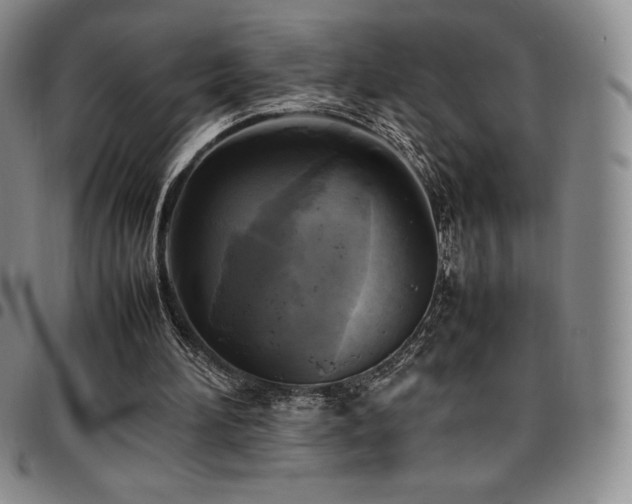 X0000097860196200803141246