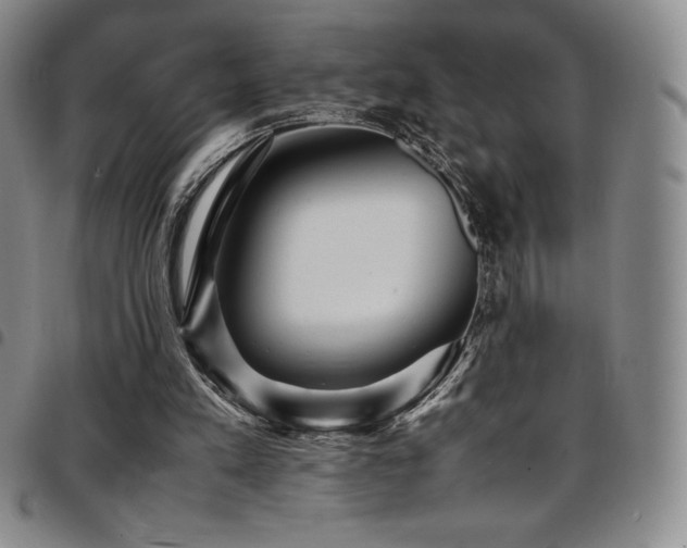 X0000097860197200803141246