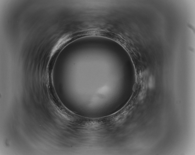 X0000097860198200803141246