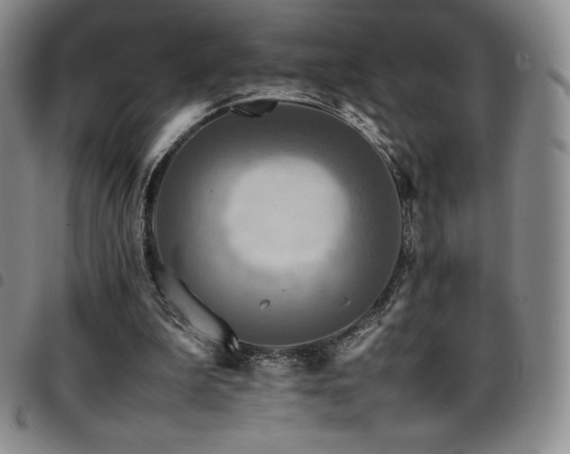 X0000097860199200803141246