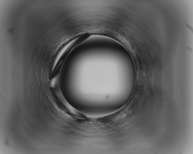 X0000097860201200803141246