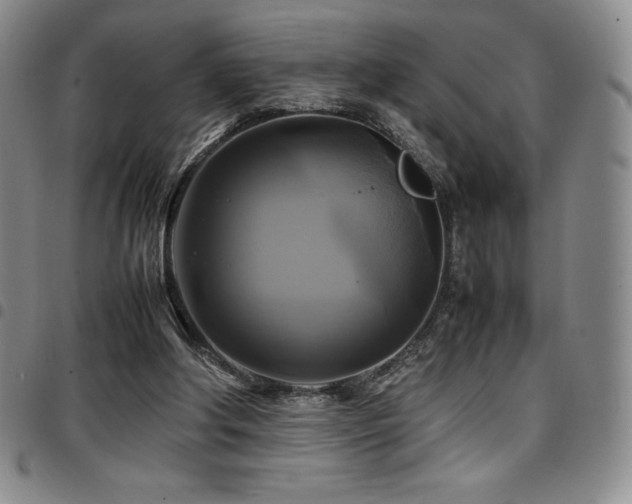 X0000097860202200803141246