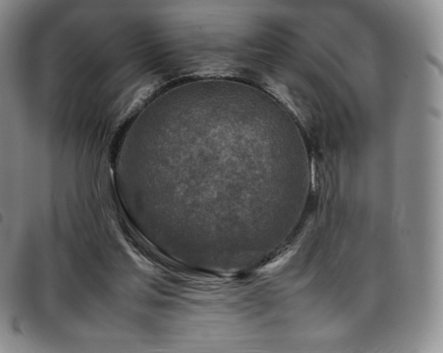 X0000097860205200803141246