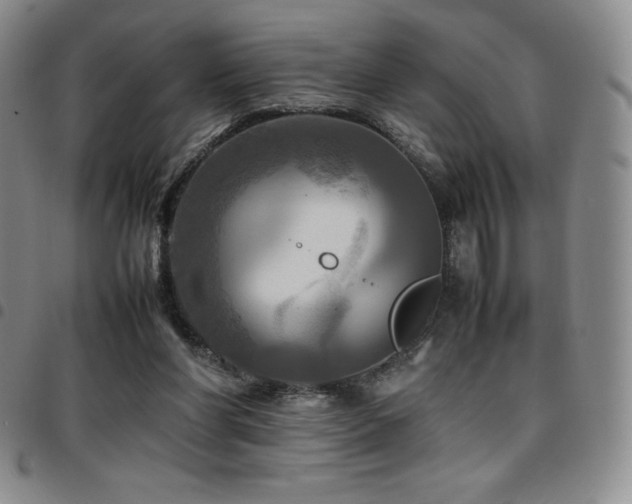 X0000097860206200803141245